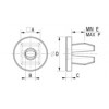 Steel plate nut [162] (162601400002)