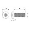 Pan head machine screw metal DIN 7985 [342-m] (342050841553)