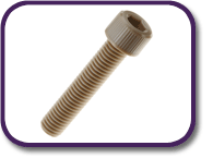 PEEK® socket head screw [183]