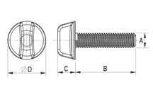 Wing screw [429]